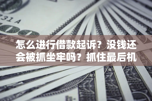 北京怎么进行借款起诉？没钱还会被抓坐牢吗？抓住最后机会！