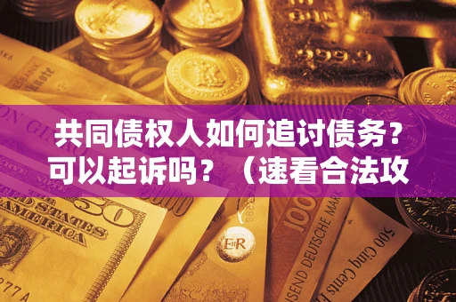 北京共同债权人如何追讨债务？可以起诉吗？（速看合法攻略）